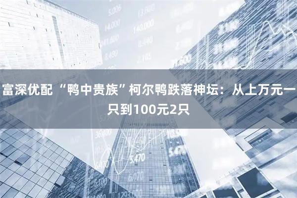 富深优配 “鸭中贵族”柯尔鸭跌落神坛：从上万元一只到100元2只